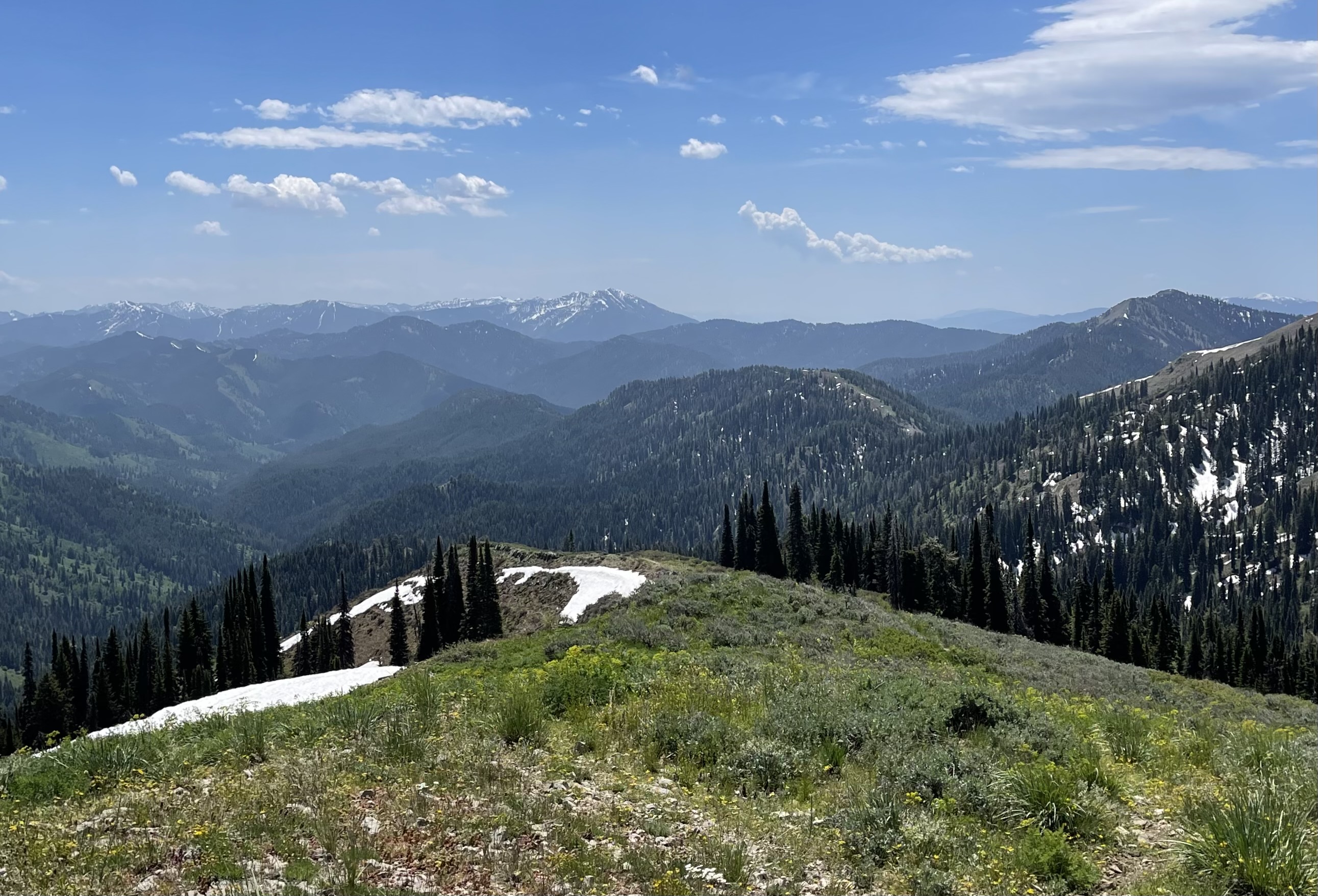 Mountain ridgeline and forested valleys in East Idaho