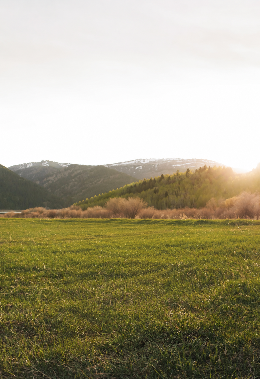Green field at sunset with mountains in East Idaho