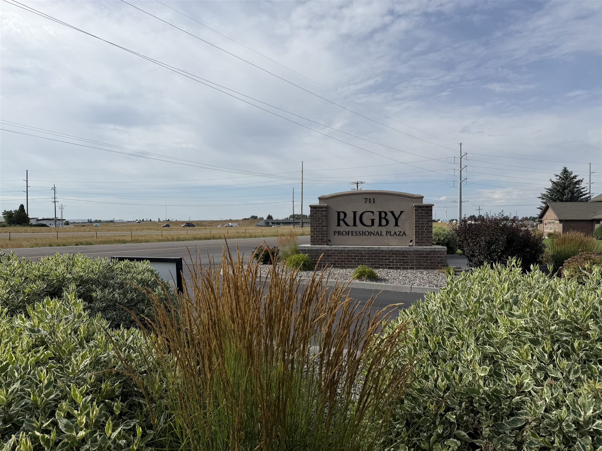 Rigby Professional Plaza — the sign and highway frontage